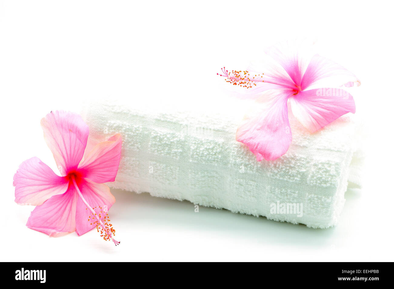Bunte rosa Hibiskus Blume mit Handtuch Spa Design, isoliert auf weißem Hintergrund Stockfoto