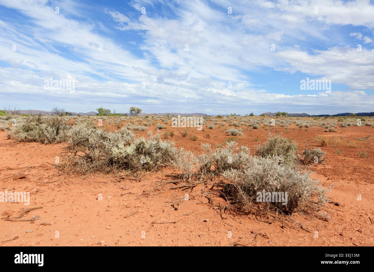 Blick auf arides Land in North Flinders Ranges, South Australia, Australien Stockfoto