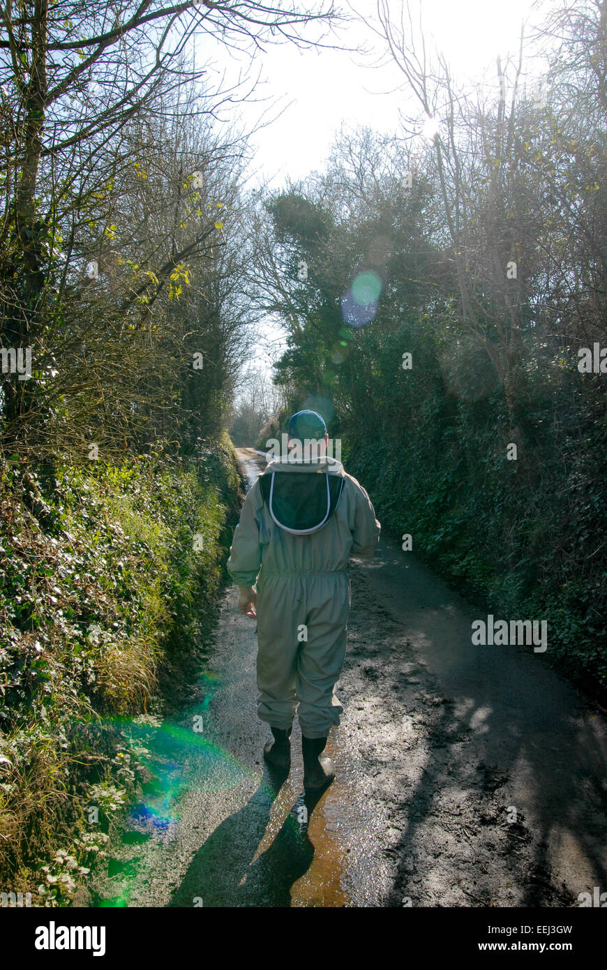 Imker im Land Gasse gehen, um seine Bienen sind in der Regel Stockfoto