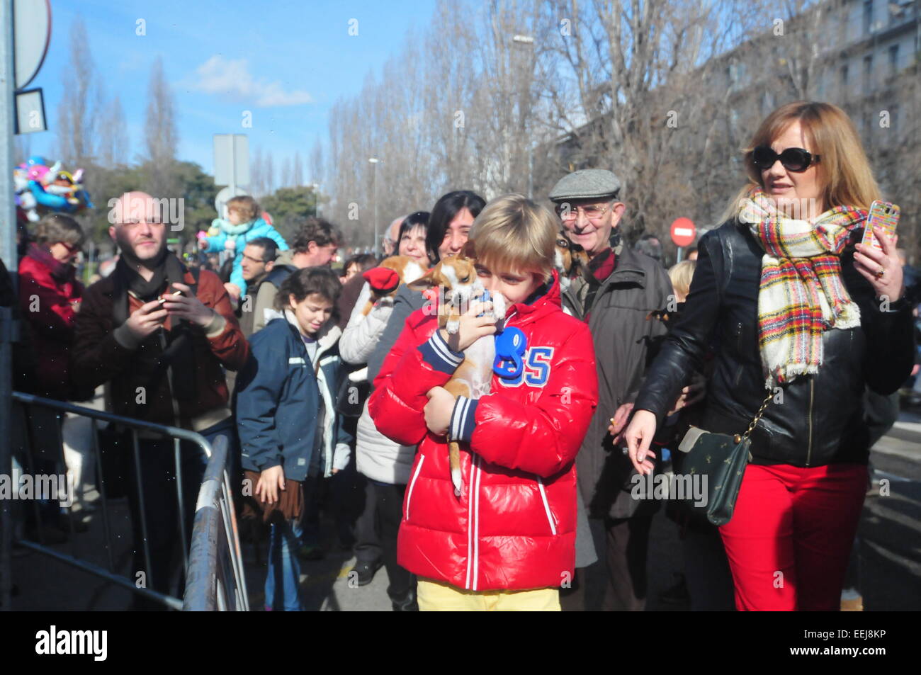 Barcelona, Spanien. 18. Januar 2015. Sant Antoni Abad, Schutzpatron der Tiere (Sant Cugat, Barcelona, Spanien, 18. Januar 2015) eine Tradition in welche alle Arten von Tieren werden gebracht, um gesegnet zu werden.  Kind mit Haustier Credit: Monica Condeminas/Alamy Live News Stockfoto