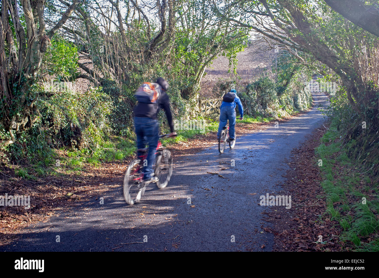 Zwei Radfahrer auf einer Spur in Cornwall, Großbritannien Stockfoto