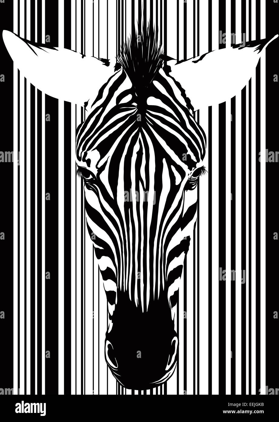 Zebra Barcode Gesicht Stockfoto