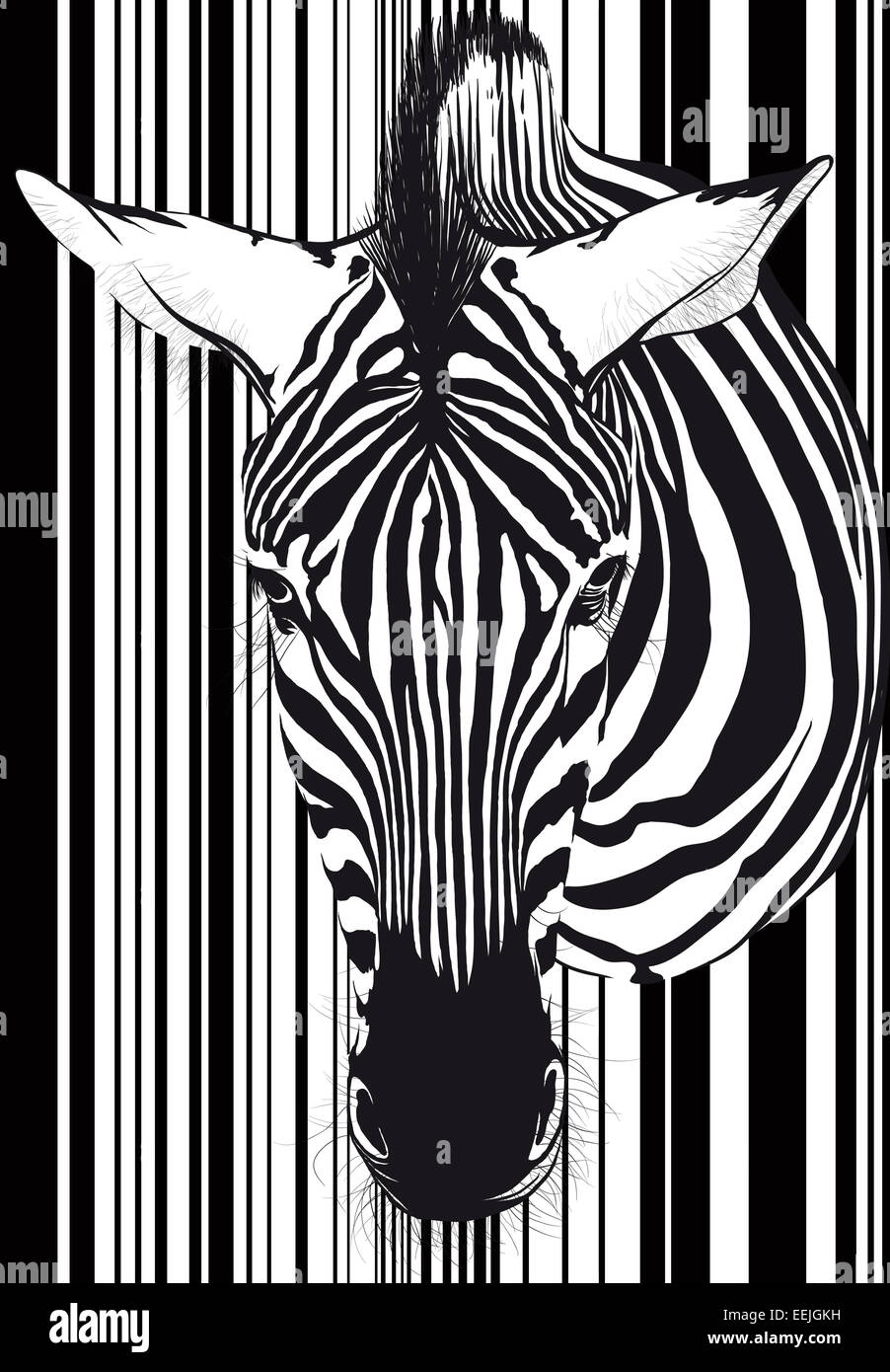 Zebra Barcode Gesicht und Hals Stockfoto