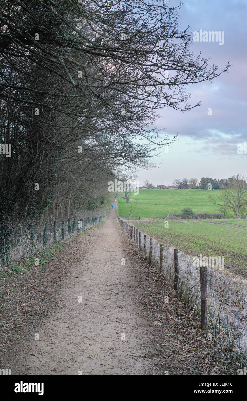 Jurassic Path in East Carlton, Corby, Northamptonshire, England. Stockfoto