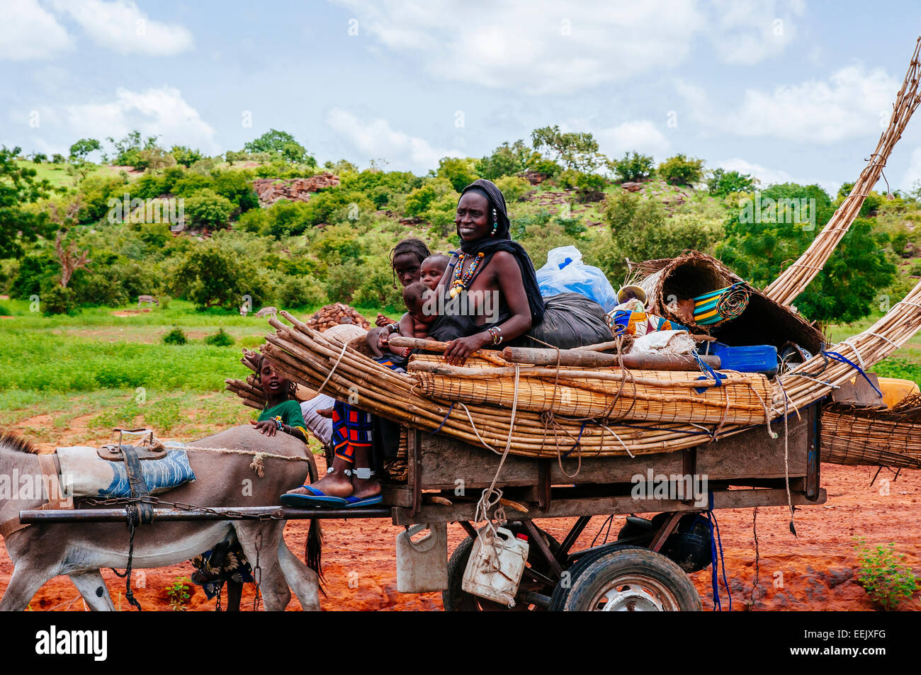 Porträt der Fulani Nomadenfamilie Eselskarren, Mali unterwegs. Stockfoto