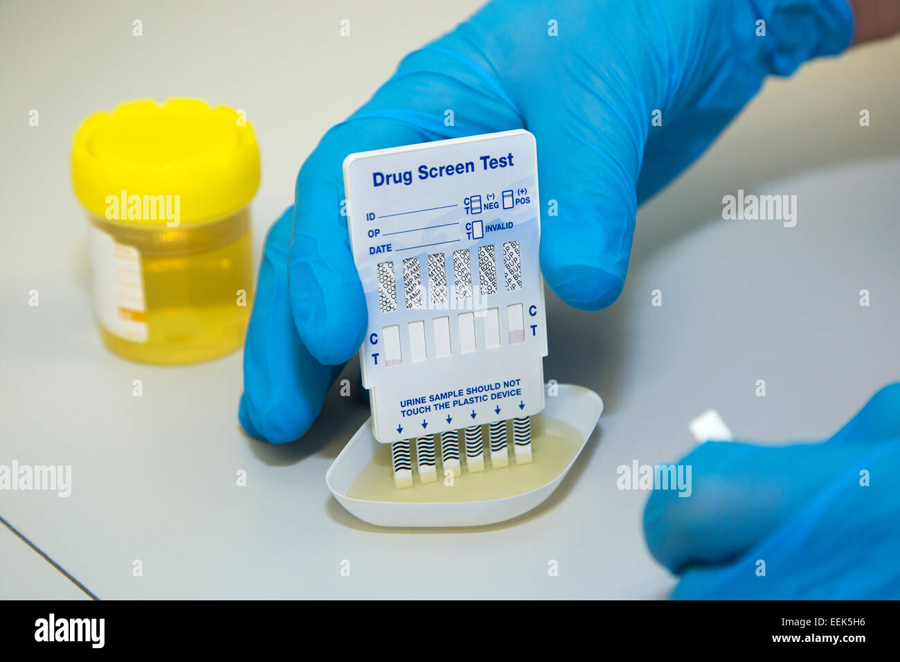 Multi Drogentest Pulver Oberflächentest | – Hochwertige Tests. Rasche Gewissheit Multi Drogentest Pulver Oberflächentest | – Hochwertige Tests. Rasche Gewissheit