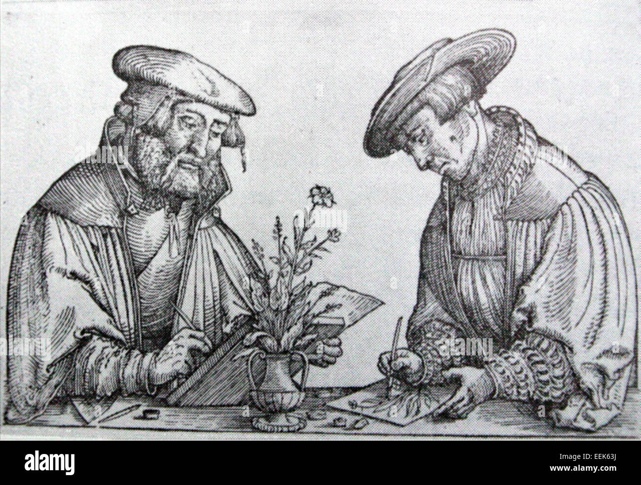 Leonhart Fuchs war ein deutscher Arzt und Botaniker, der für seine Beiträge zu botanischen Illustrationen bekannt war. Sein Werk de Historia Stirpium gilt als eines der wichtigsten frühen Werke der botanischen Literatur. Stockfoto