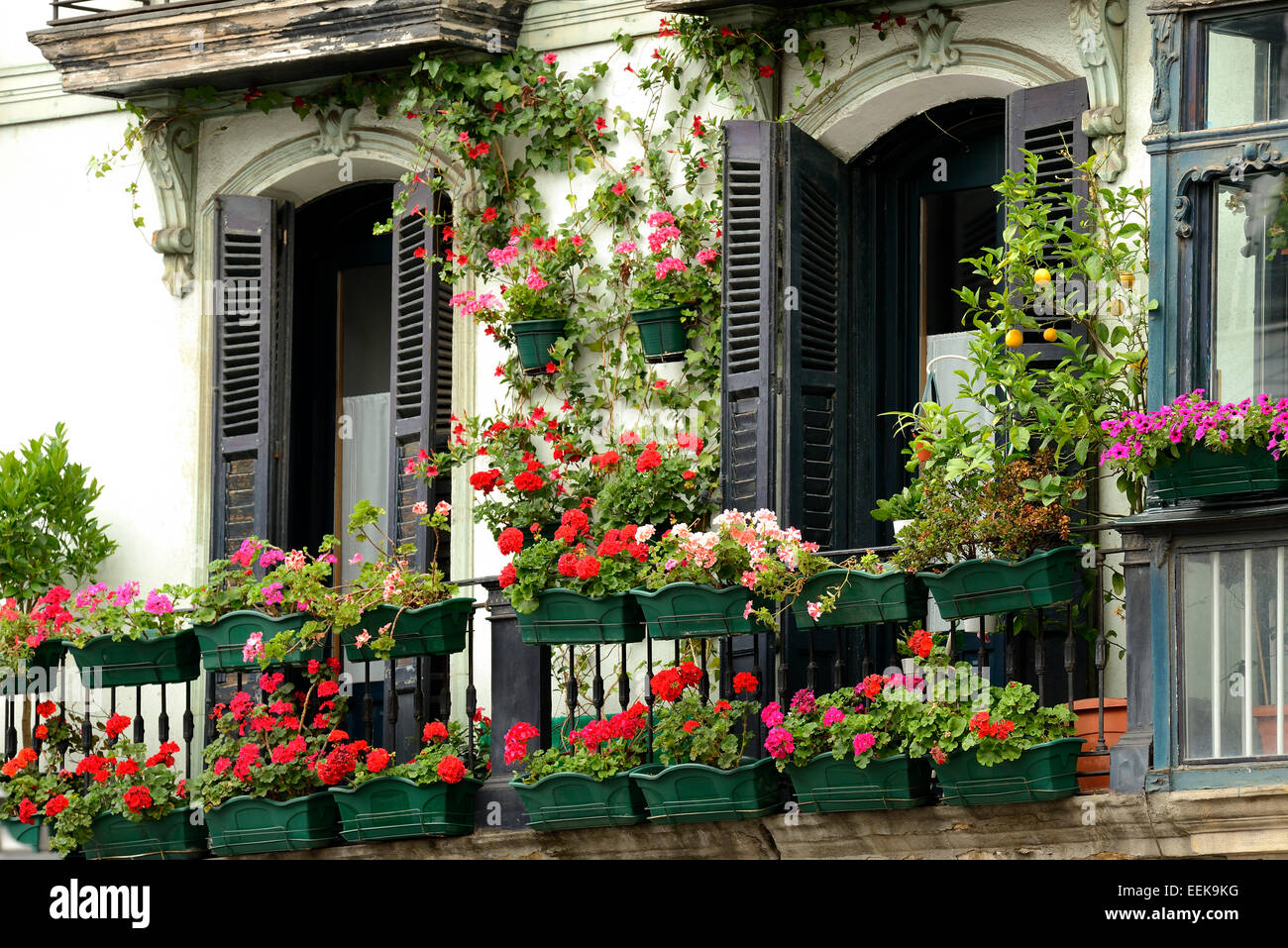 Flowerboxes im Balkon, Bilbao, Vizcaya, Baskenland, Baskenland, Spanien, Europa Stockfoto