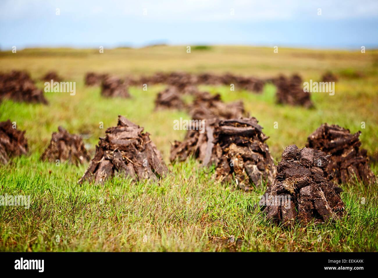 Haufen von irischen Torf Torf Brennstoff trocknen in der Landschaft