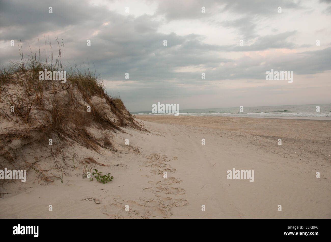 Sanddünen am Strand.   Emerald Isle, NC USA Stockfoto