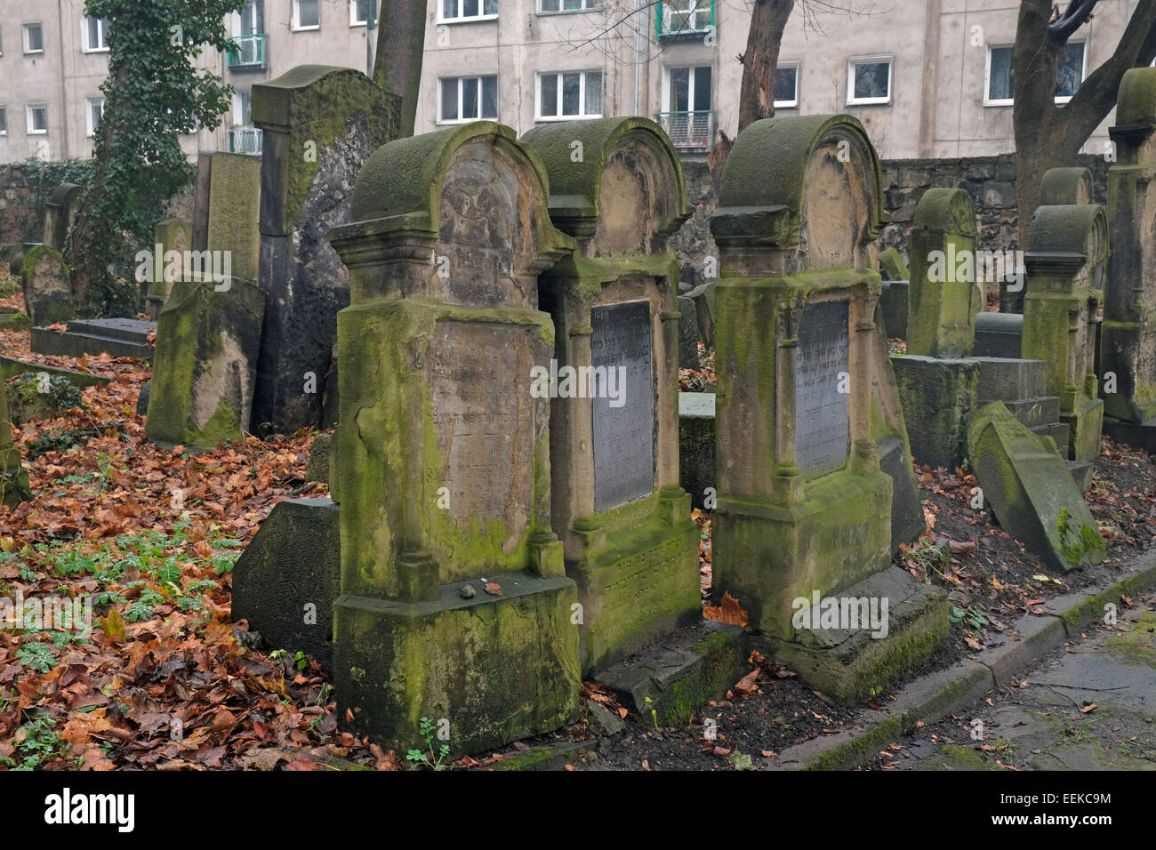 Der neue jüdische Friedhof, Kazimierz, Krakau, Polen. Stockfoto