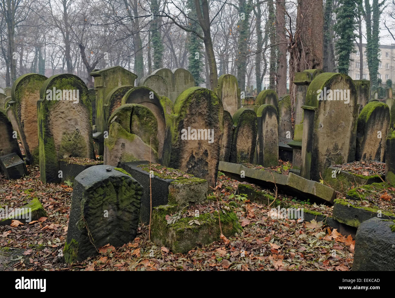 Der neue jüdische Friedhof, Kazimierz, Krakau, Polen. Stockfoto