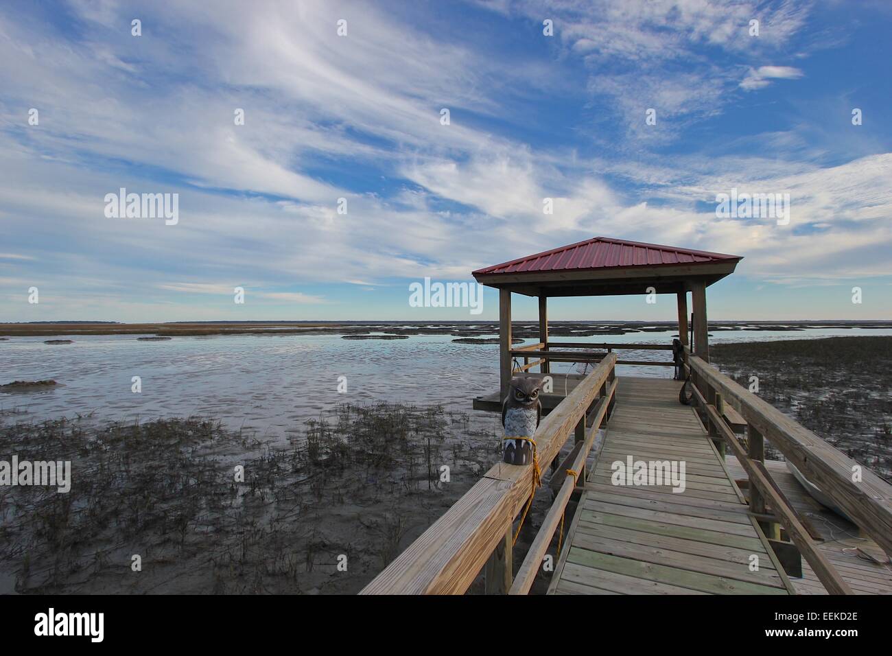 Dock am Sumpf in South Carolina Stockfoto