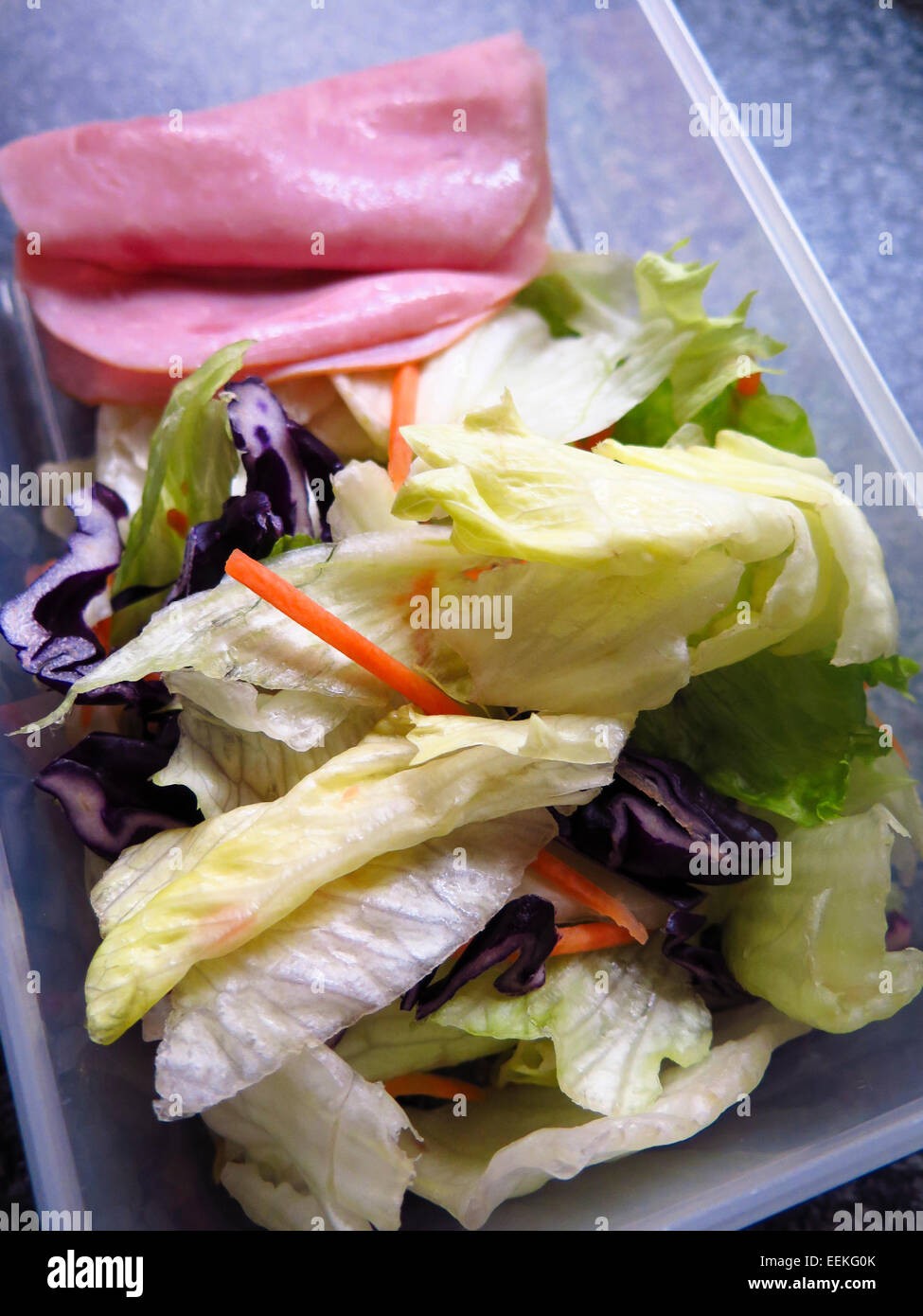 Lunchpaket in Kunststoff-Wanne Stockfoto