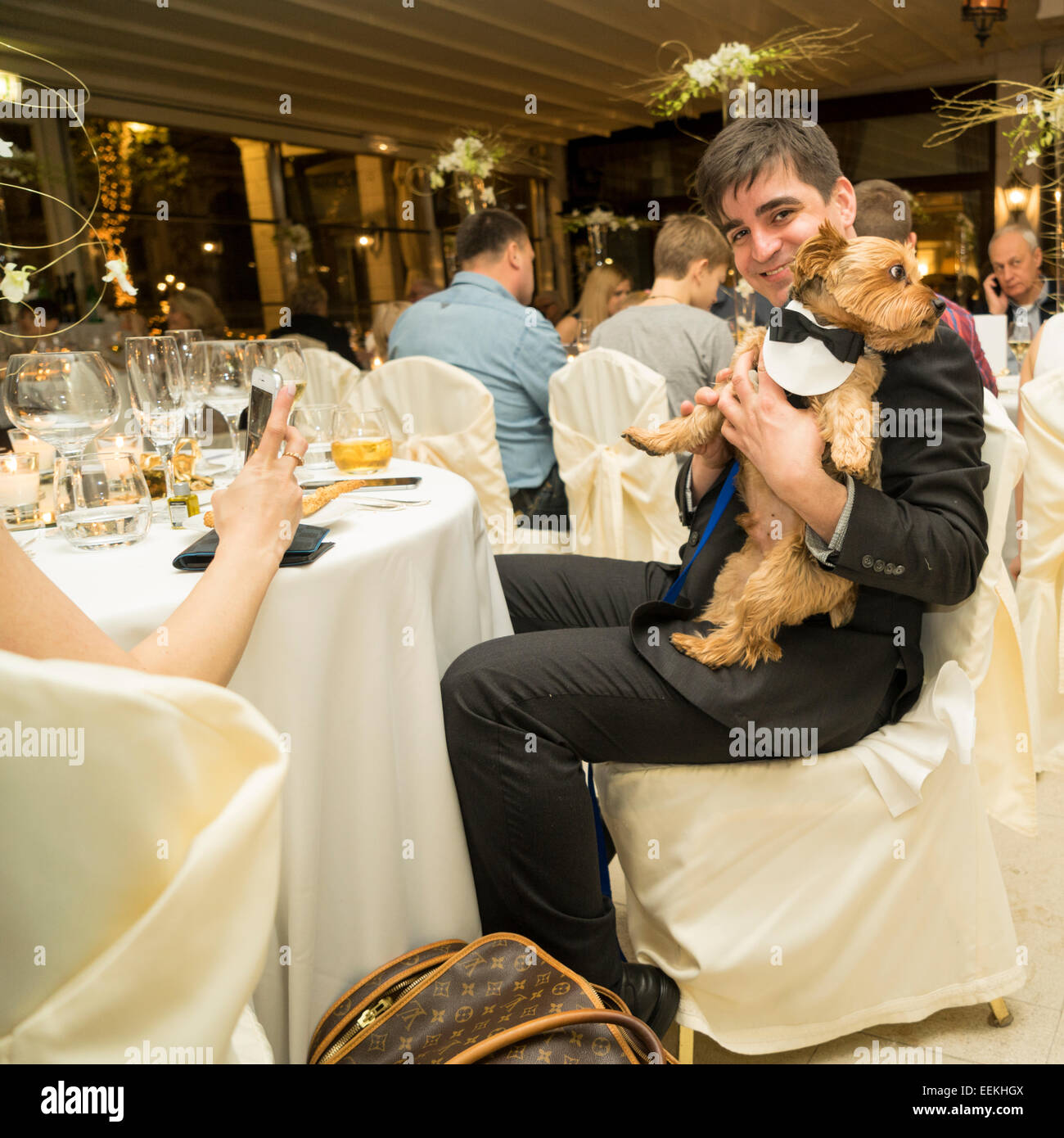 Mann mit Hund, Silvester Silvester-Party (Capodanno) in Europa und Regina Hotel Stockfoto