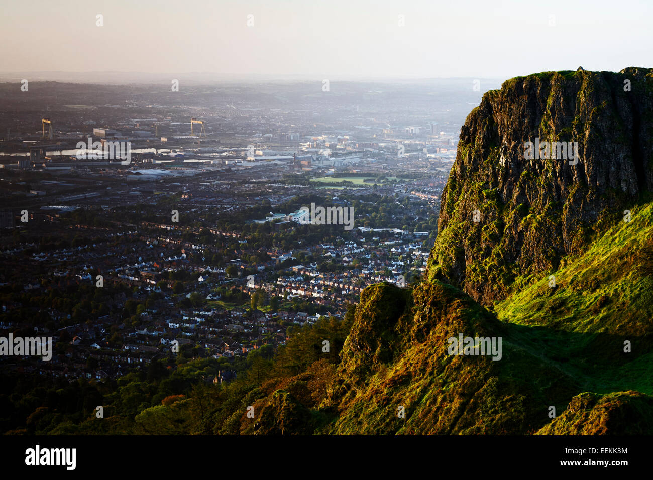 Höhle-Hügel mit Blick auf Belfast am frühen Morgen Stockfoto