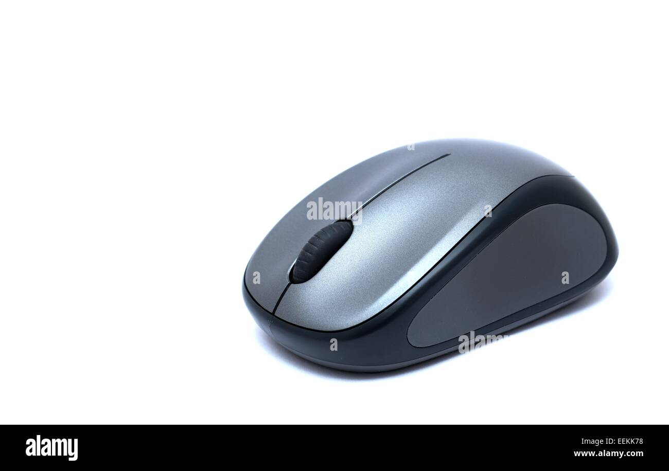 Graue Maus auf einem weißen Hintergrund. Stockfoto