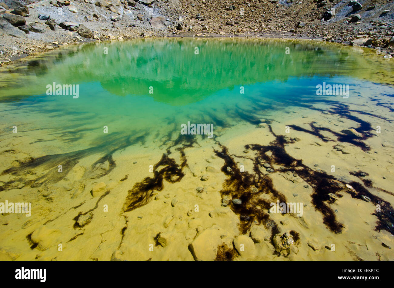 Neuseeland, Tongariro NP Stockfoto