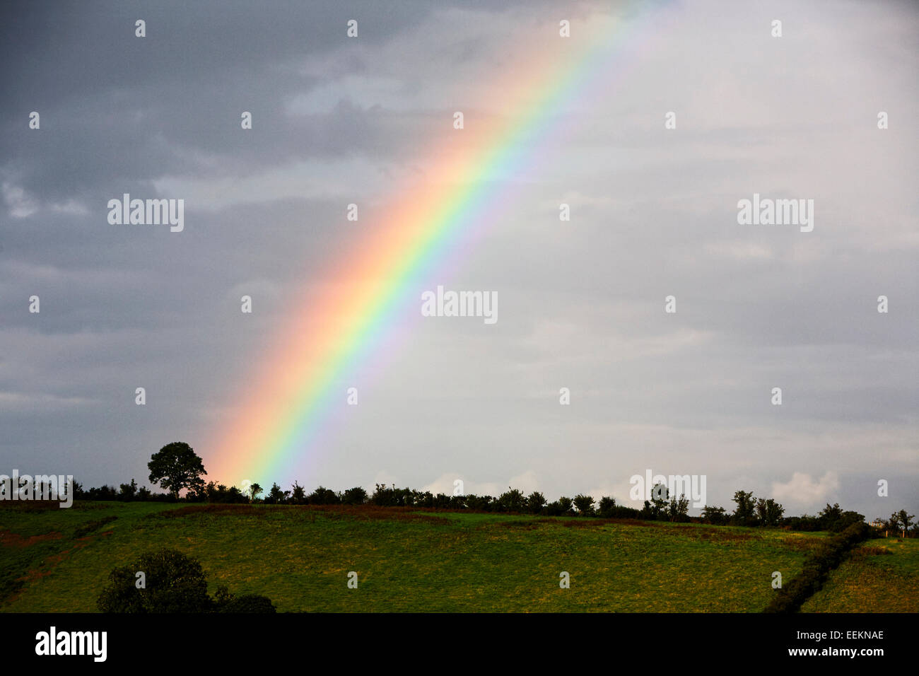 Ende eines regenbogens -Fotos und -Bildmaterial in hoher Auflösung – Alamy