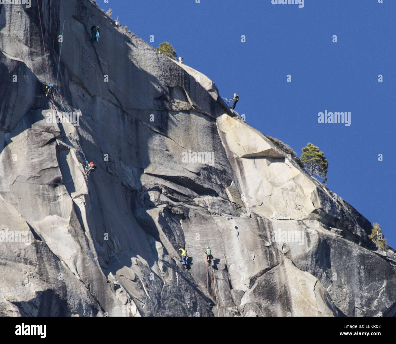 Yosemite Nationalpark, Kalifornien, USA. 19. Januar 2015. Mittwoch, den 14. Januar 2015.TOMMY CALDWELL (links-gelben Hemd) und KEVIN JORGESON (rechts-grün Hemd) arbeiten durch ihre endgültige Stellplätze in ihrem Versuch frei klettern Dawn Wall am El Capitan (El Cap) im Yosemite Nationalpark, Kalifornien. © Tracy Barbutes/ZUMA Draht/Alamy Live-Nachrichten Stockfoto