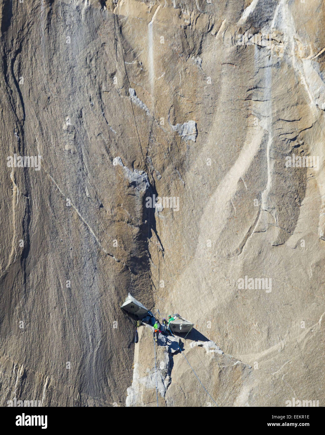 Yosemite Nationalpark, Kalifornien, USA. 19. Januar 2015. Dienstag, 30. Dezember, 2014.Either TOMMY CALDWELL oder KEVIN JORGESON Jumars bis zu einem Biwak am El Capitan. Die zwei Männer bringen einem Ruhetag bei ihrem Versuch, als erster Aufstieg kostenlos Dawn Wall am El Capitan (El Cap) im Yosemite Nationalpark, Kalifornien. © Tracy Barbutes/ZUMA Draht/Alamy Live-Nachrichten Stockfoto