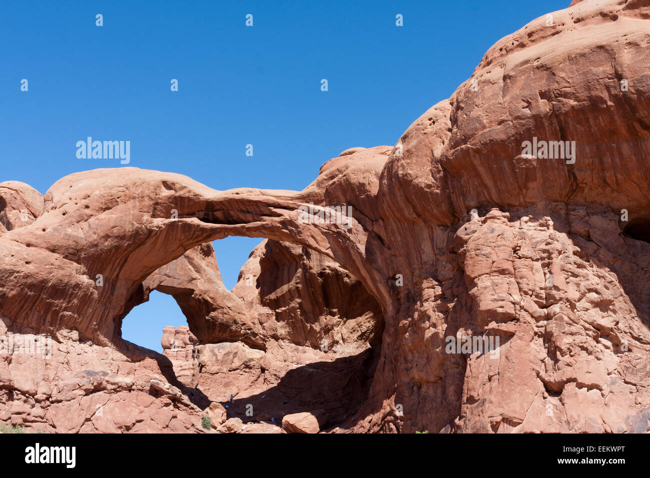 Double Arch Arches-Nationalpark, Utah, USA Stockfoto