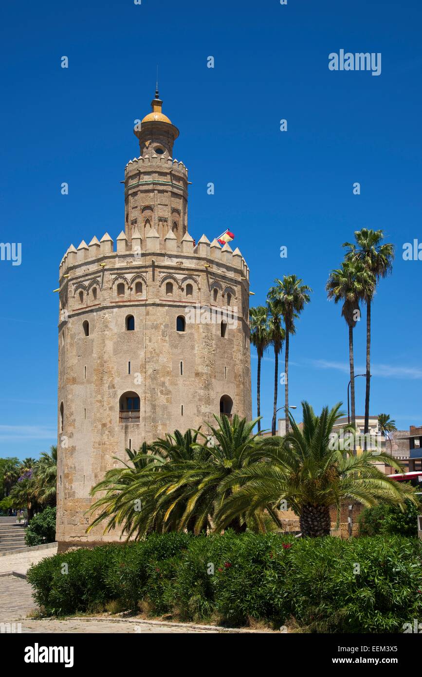 Torre del Oro am Ufer des Rio Guadalquivir, Sevilla, Andalusien, Spanien Stockfoto