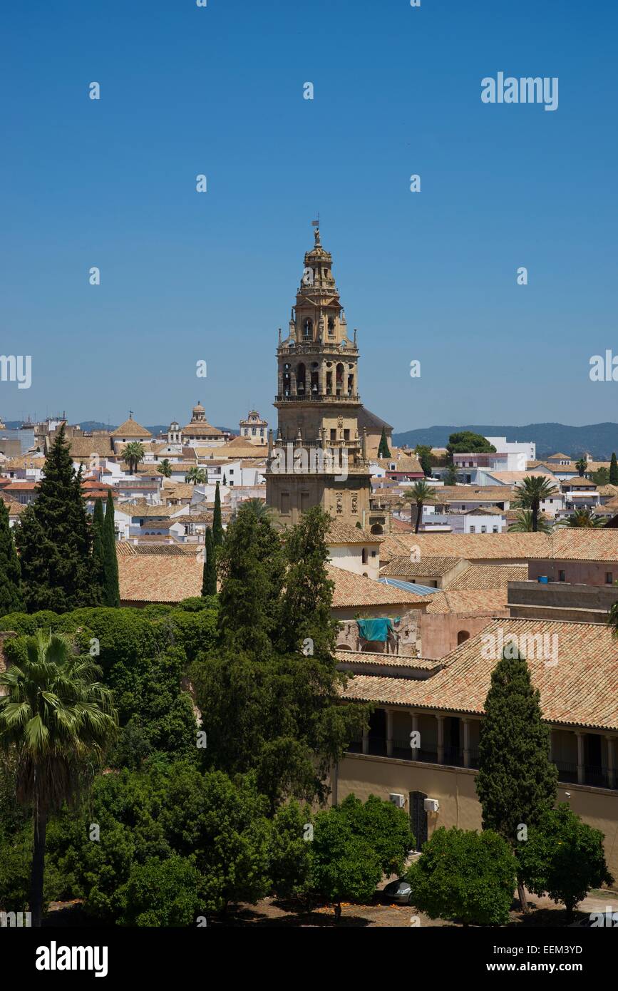 Glockenturm der Mezquita de Córdoba, Córdoba, Andalusien, Spanien Stockfoto