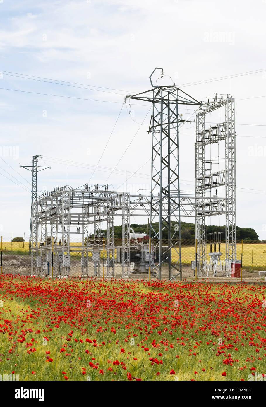 Elektrische Ausrüstung von einem Kraftwerk in der Mitte ein Mohn-Feld Stockfoto