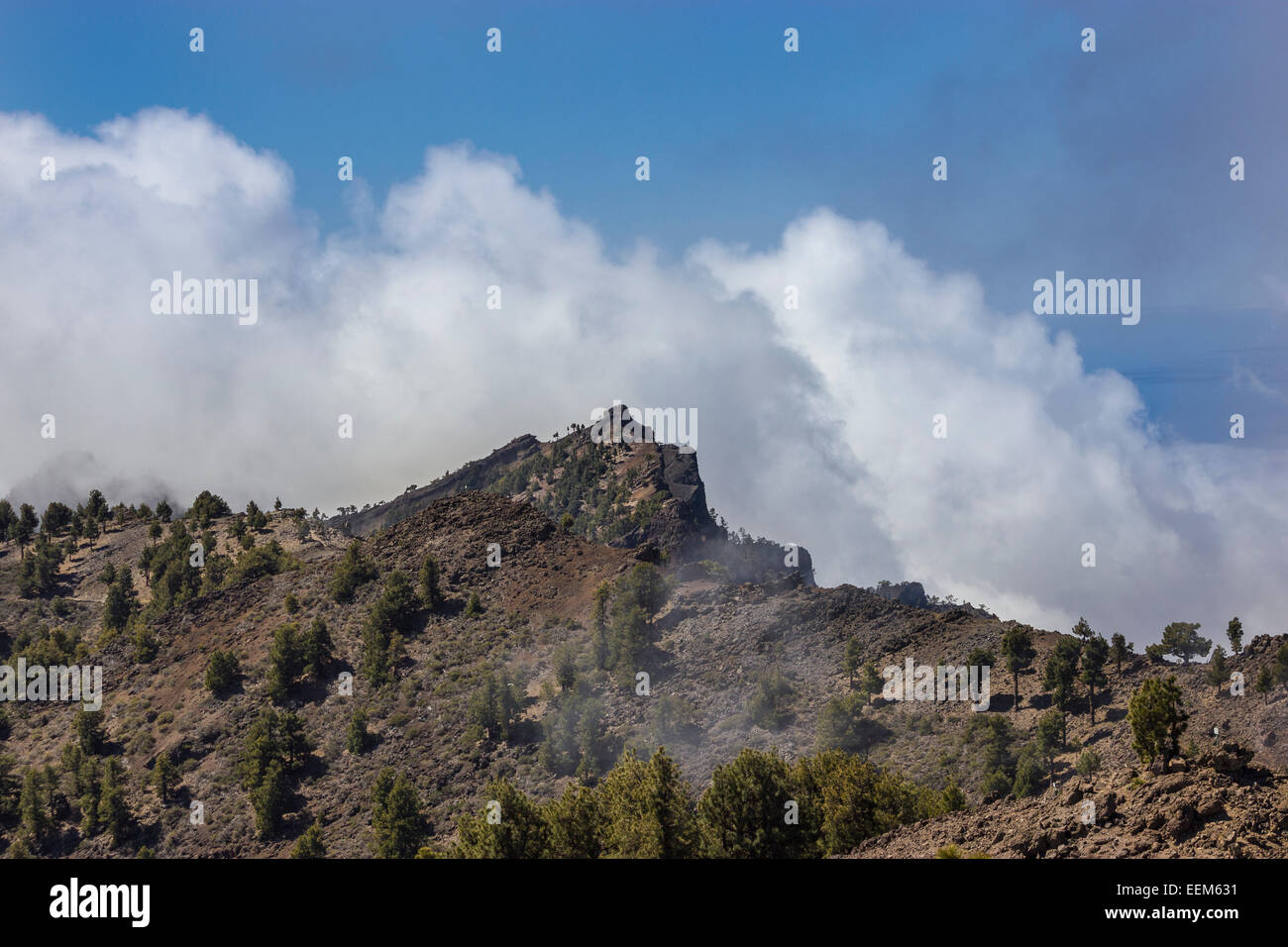 Blick vom Pico de Las Nieves, Lavalandschaft, Caldera de Taburiente Nationalpark, Degollada del Barranco De La Madera, La Palma Stockfoto