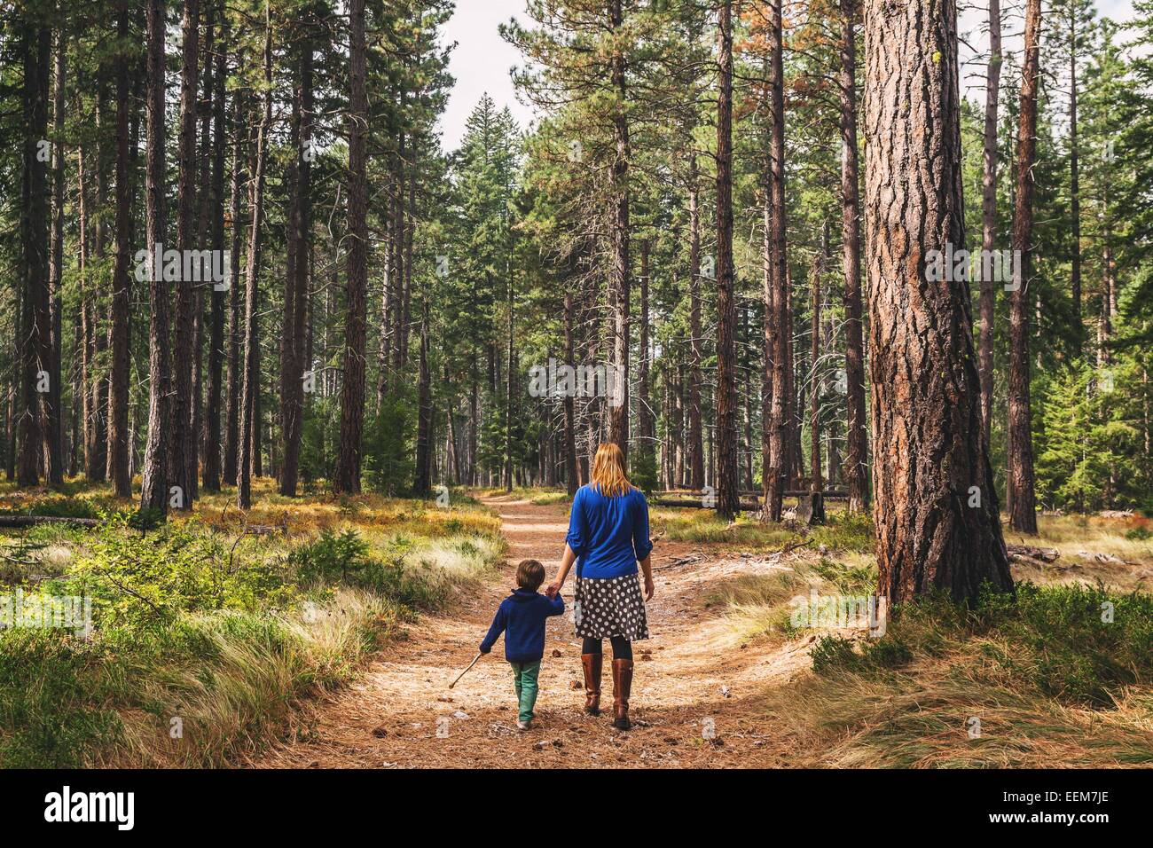 Mutter, die mit ihrem Sohn durch den Wald geht Stockfoto