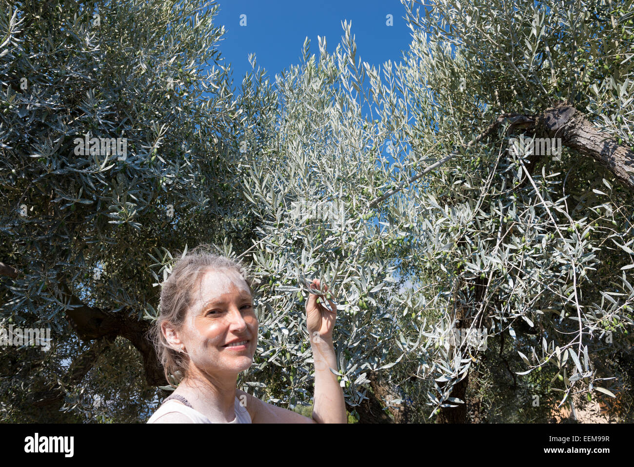 Spanien, Katalonien, Tarragona, Tivissa, Porträt von Bäuerin mit Bio-Oliven Stockfoto