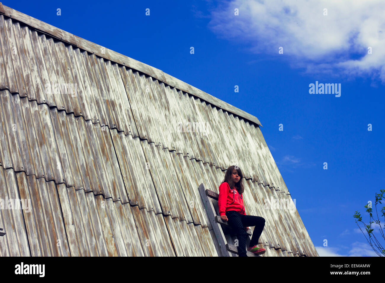 Niedrigen Winkel Ansicht des kaukasischen Mädchens auf Leiter auf Blechdach Stockfoto
