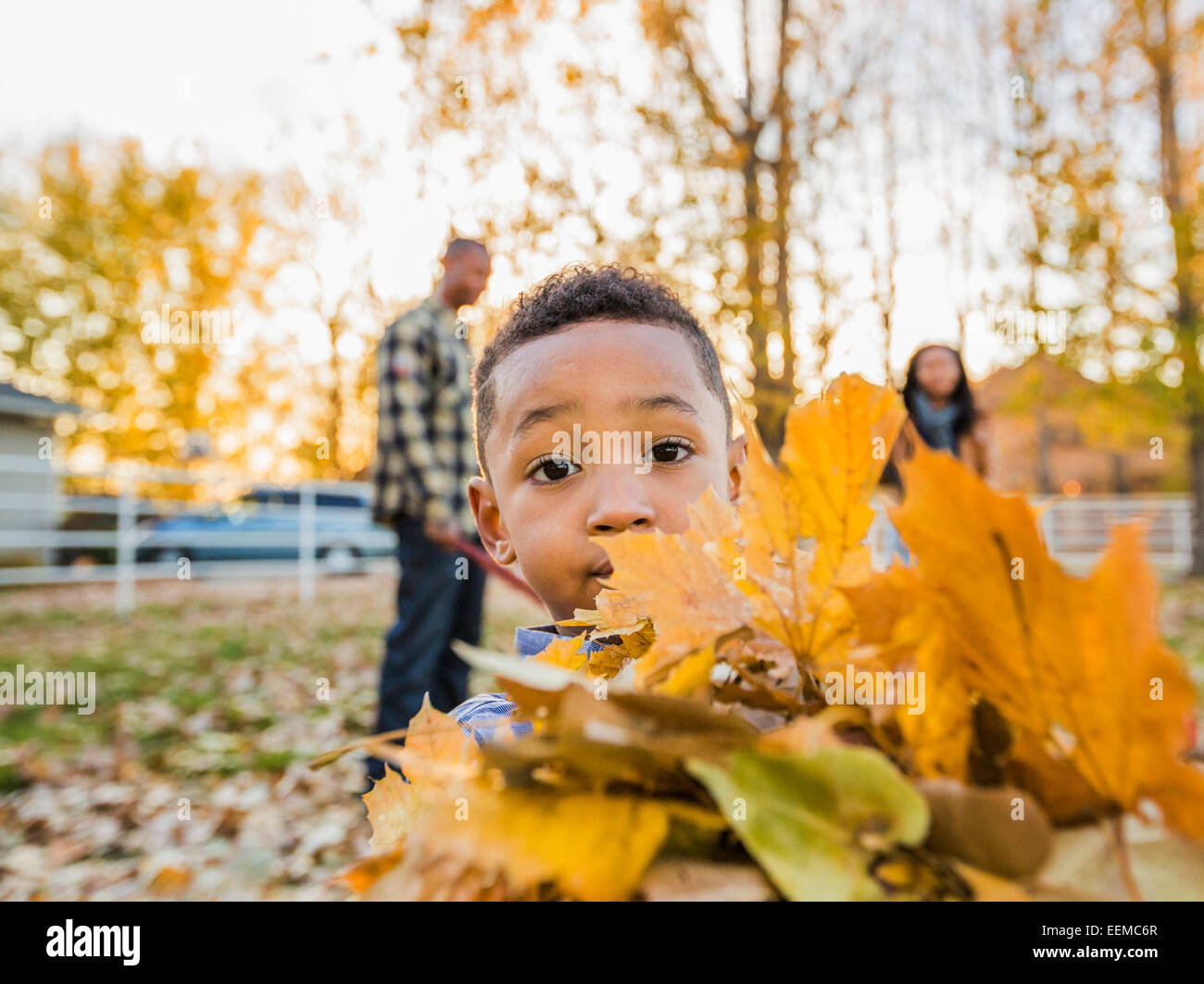 Schwarzer Junge hält Bündel von Herbst Blätter Stockfoto