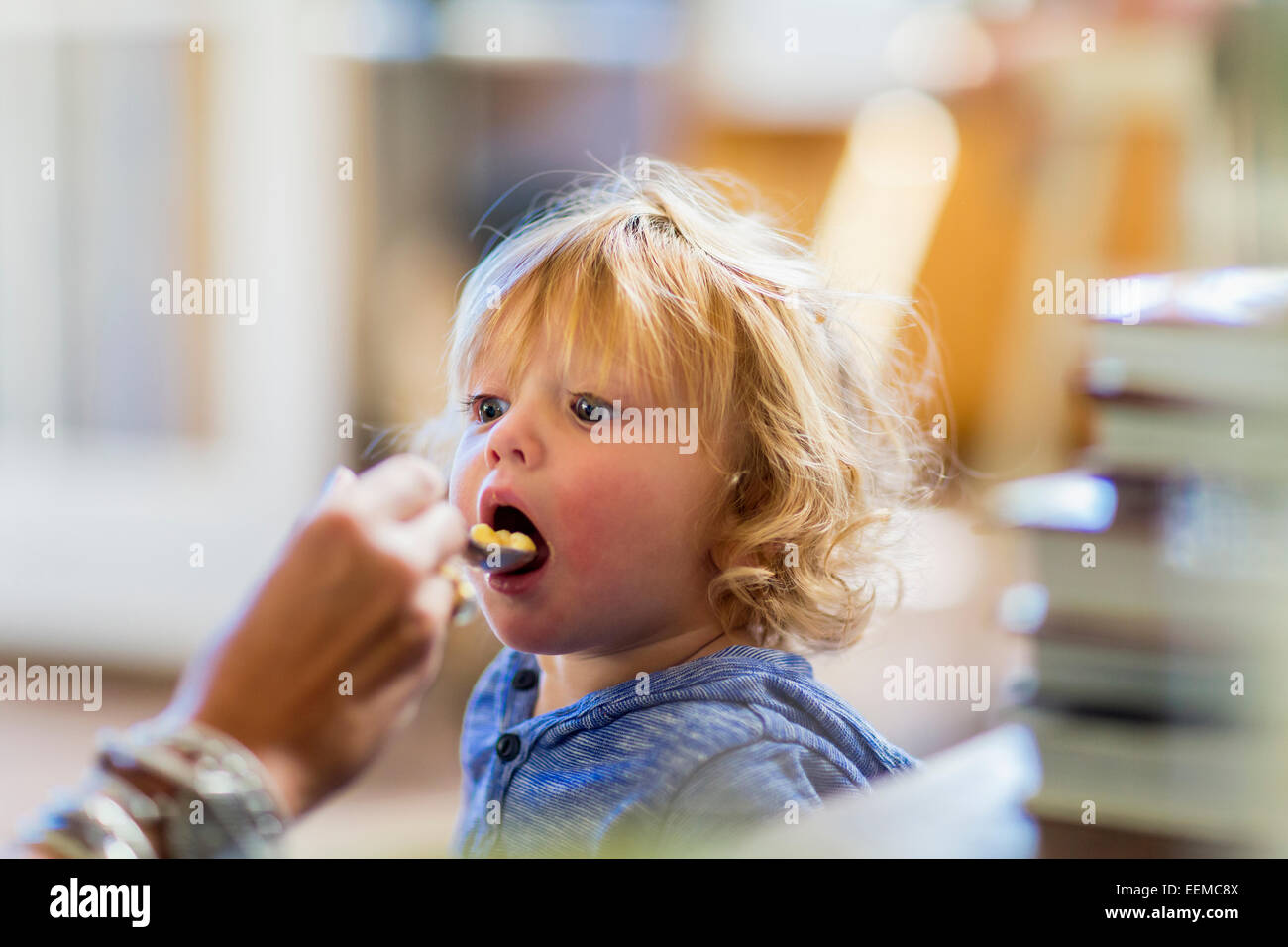 Mutter Fütterung Sohn am Tisch Stockfoto
