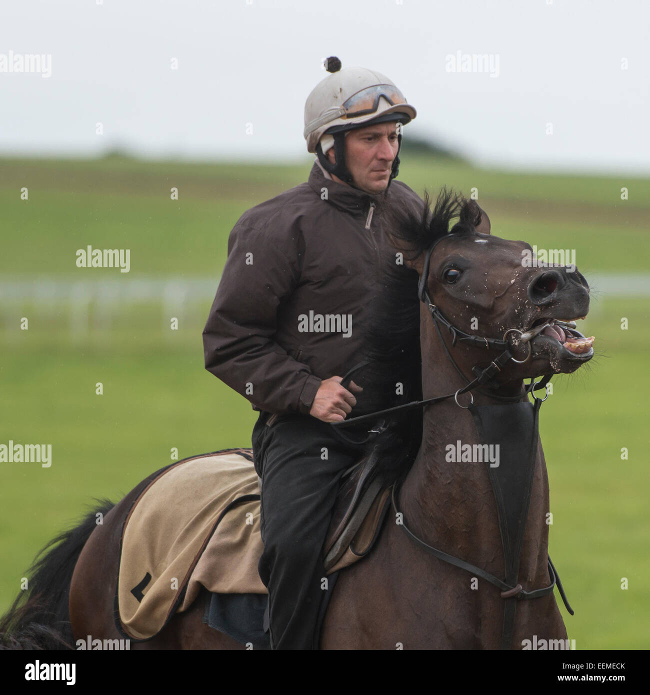 Reiter auf Pferd bei Warren Heide Newmarket Stockfoto