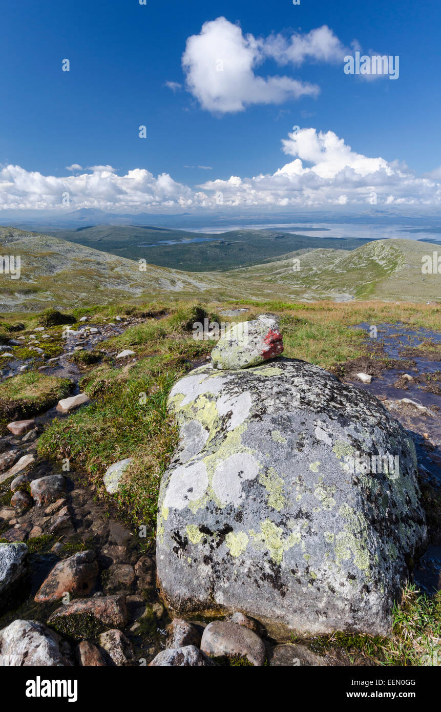 Blick Vom Berg Elgahogna, Femundsmarka Nationalpark Auf den Femunden sehen, Hedmar Fylke, Norwegen, Juli 2011 Stockfoto