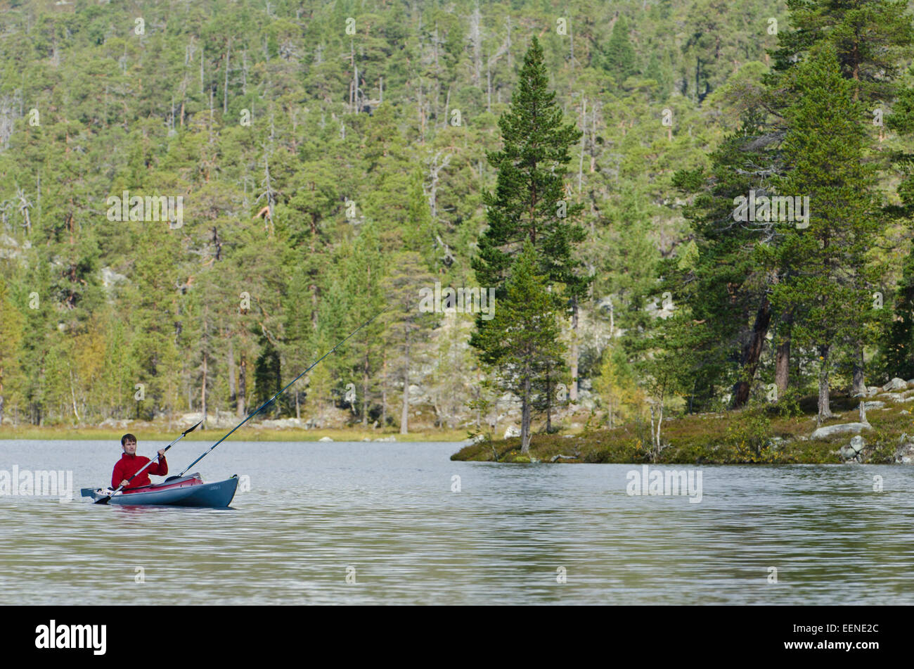 Angler in die Paddel Boot auf einem See im Rogen Naturreservat, Haerjedalen, Schweden August Stockfoto