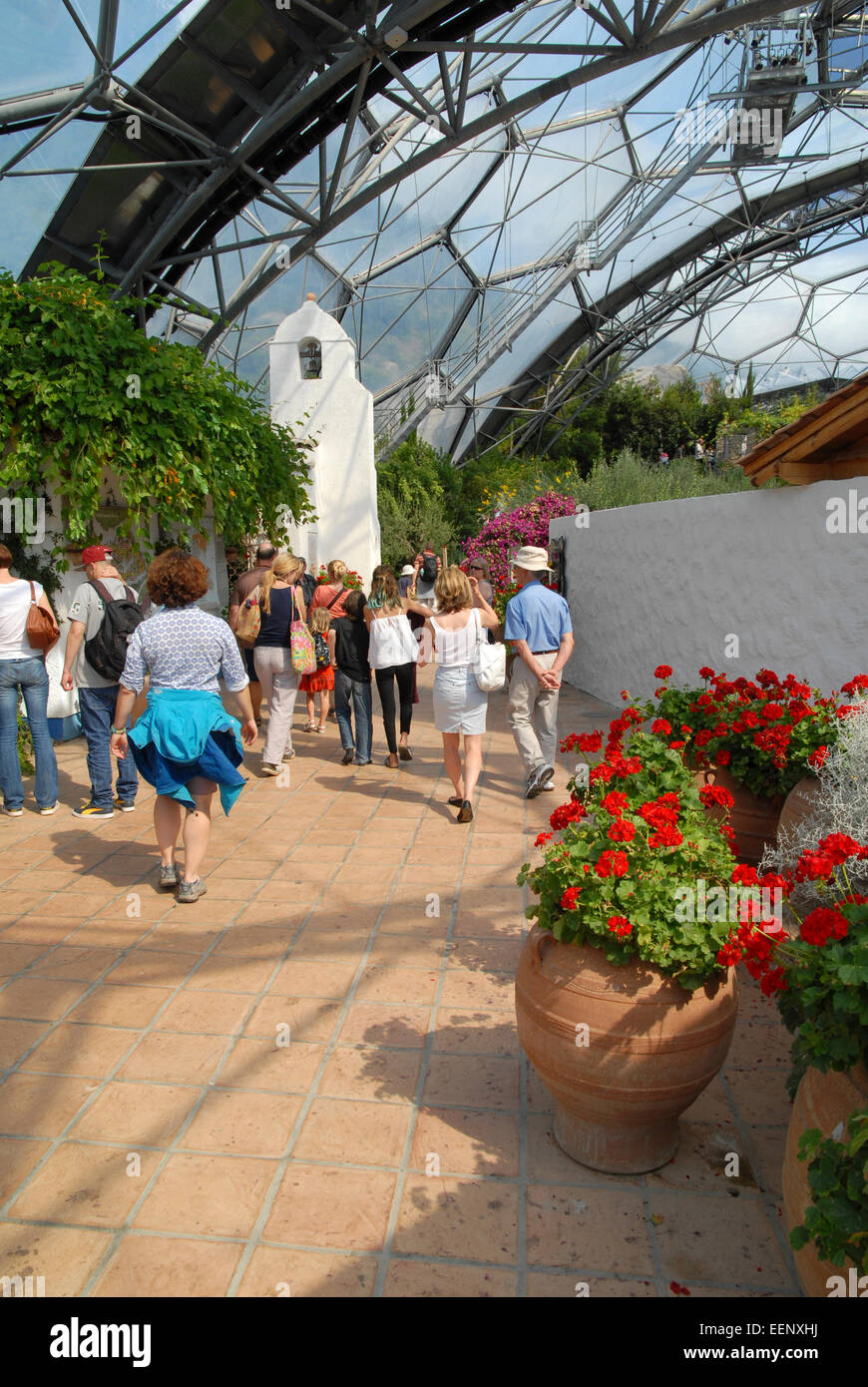 Im Inneren der mediterranen Biome im Eden Project, Cornwall, UK. Stockfoto