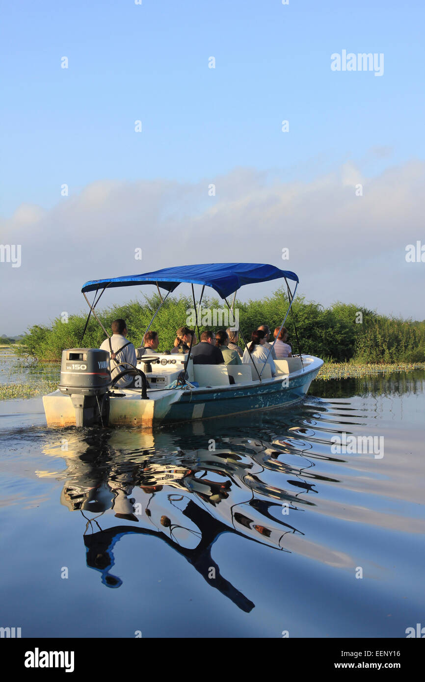 Touristen genießen am frühen Morgen Bootsfahrt auf der Lagune am Crooked Tree Wildlife Sanctuary, Belize Stockfoto