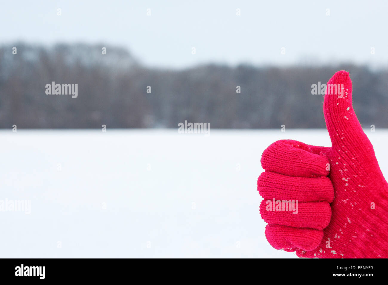 Foto von Hand in rot wollenen Handschuh mit Daumen beiseite auf Winter Hintergrund in der Natur mit leeren Textfreiraum, Konzept der Freude in wi Stockfoto