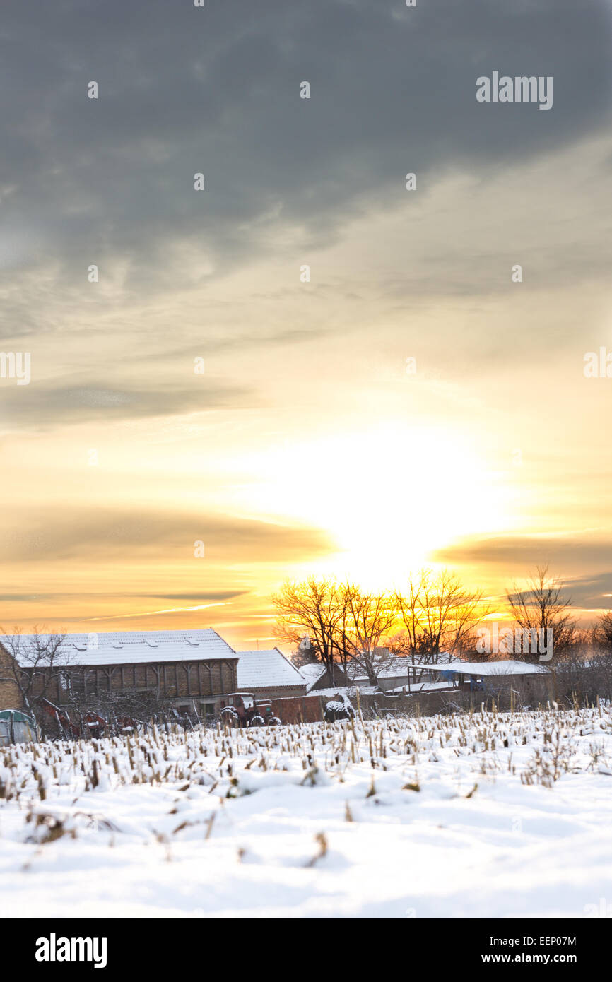 Ein Wintermärchen. Winterlandschaft mit verschneiten Landschaft Dorf neben Maisfeld bei Sonnenuntergang oder Sonnenaufgang in weiße Schneedecke bedeckt. Stockfoto