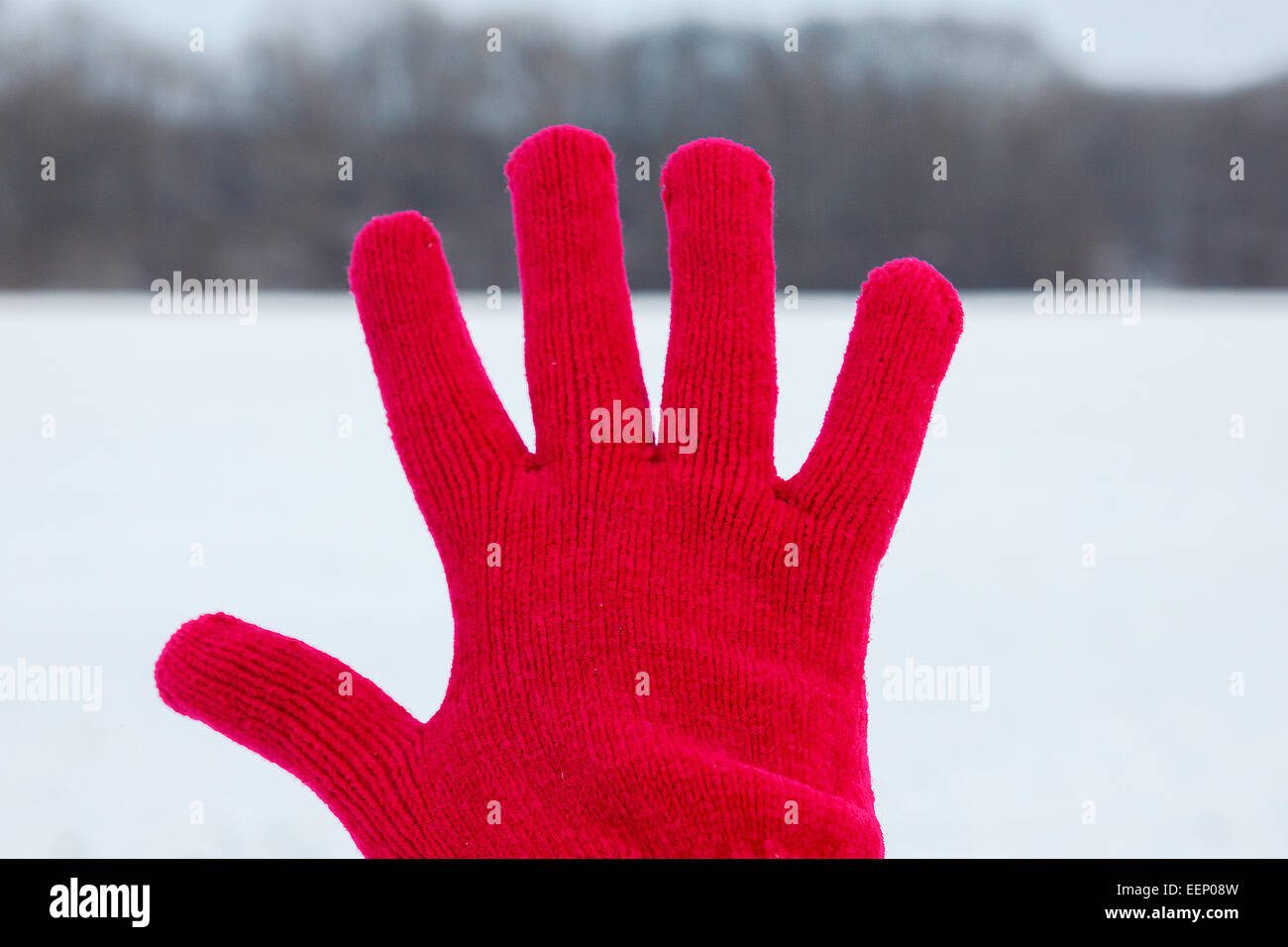 Foto von ausgebreitet Hand in rot wollenen Handschuh auf Winter Hintergrund in der Natur, Konzept der Freude im winter Stockfoto