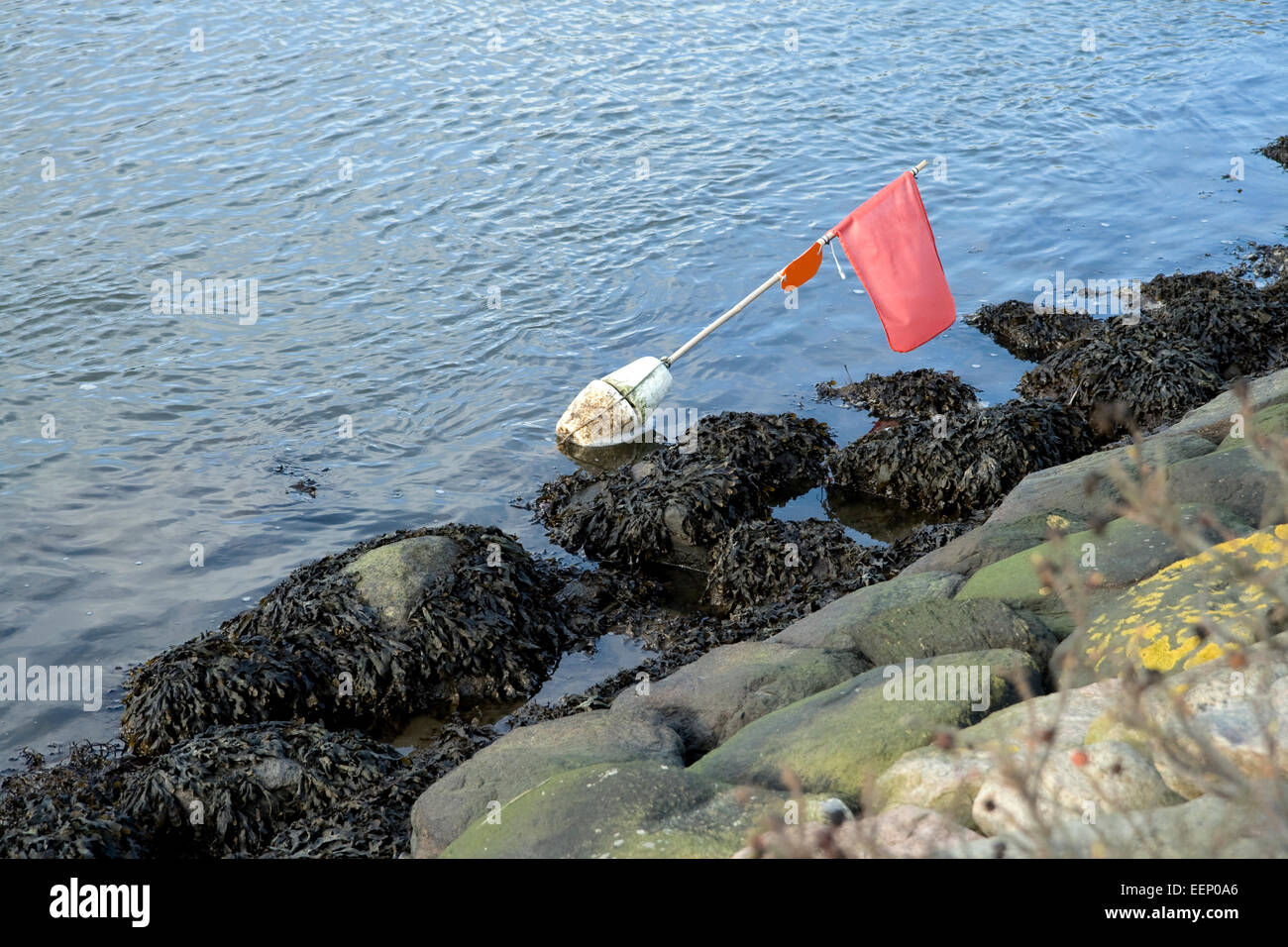 Angeln-Boje in der Nähe der Mole Norsminde, Dänemark Stockfoto