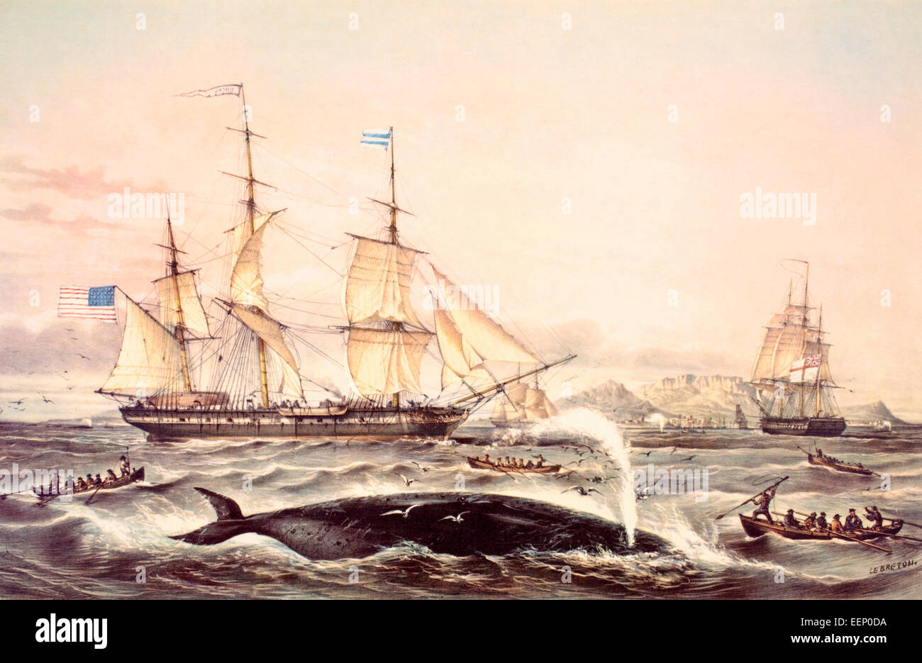 Walfang aus Kap der guten Hoffnung in der Mitte des 19. Jahrhunderts. Stockfoto