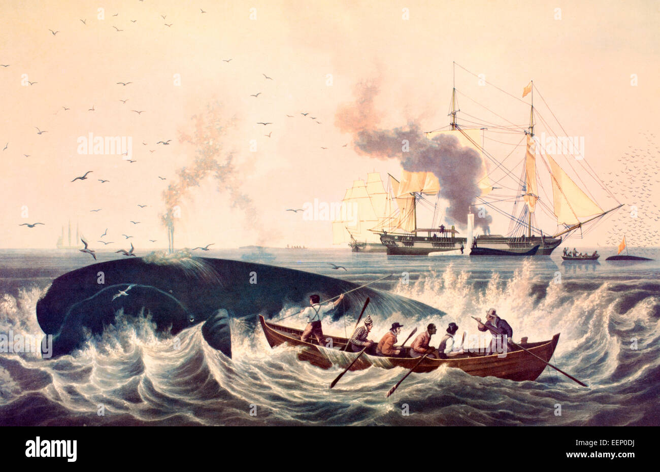 Angeln für Wale in der Mitte des 19. Jahrhunderts. Stockfoto