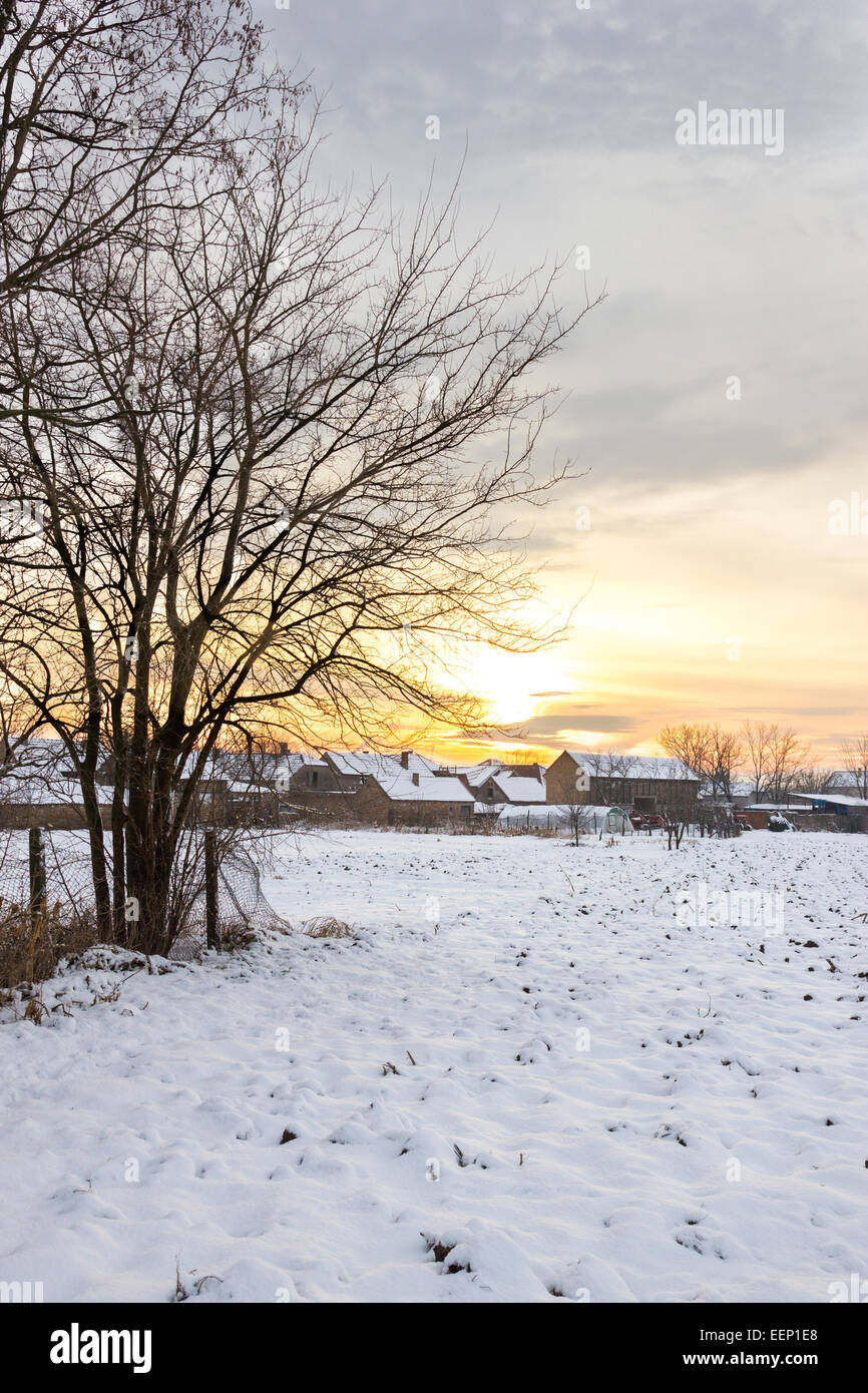 Ein Wintermärchen. Winterlandschaft mit verschneiten Landschaft Dorf neben Maisfeld bei Sonnenuntergang oder Sonnenaufgang in weiße Schneedecke bedeckt. Stockfoto