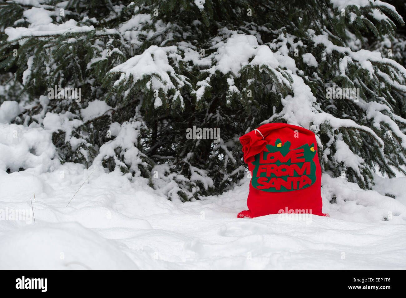 Liebe Grüße von Santa Weihnachten vorhanden Sack im Schnee vor schneebedeckten Tannen Stockfoto