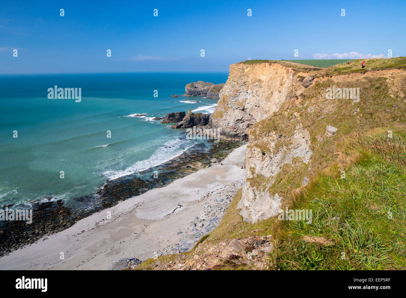 Mit Blick auf Bassetts Bucht im Norden Klippen Erhaltung Bereich Cornwall England UK Europa Stockfoto