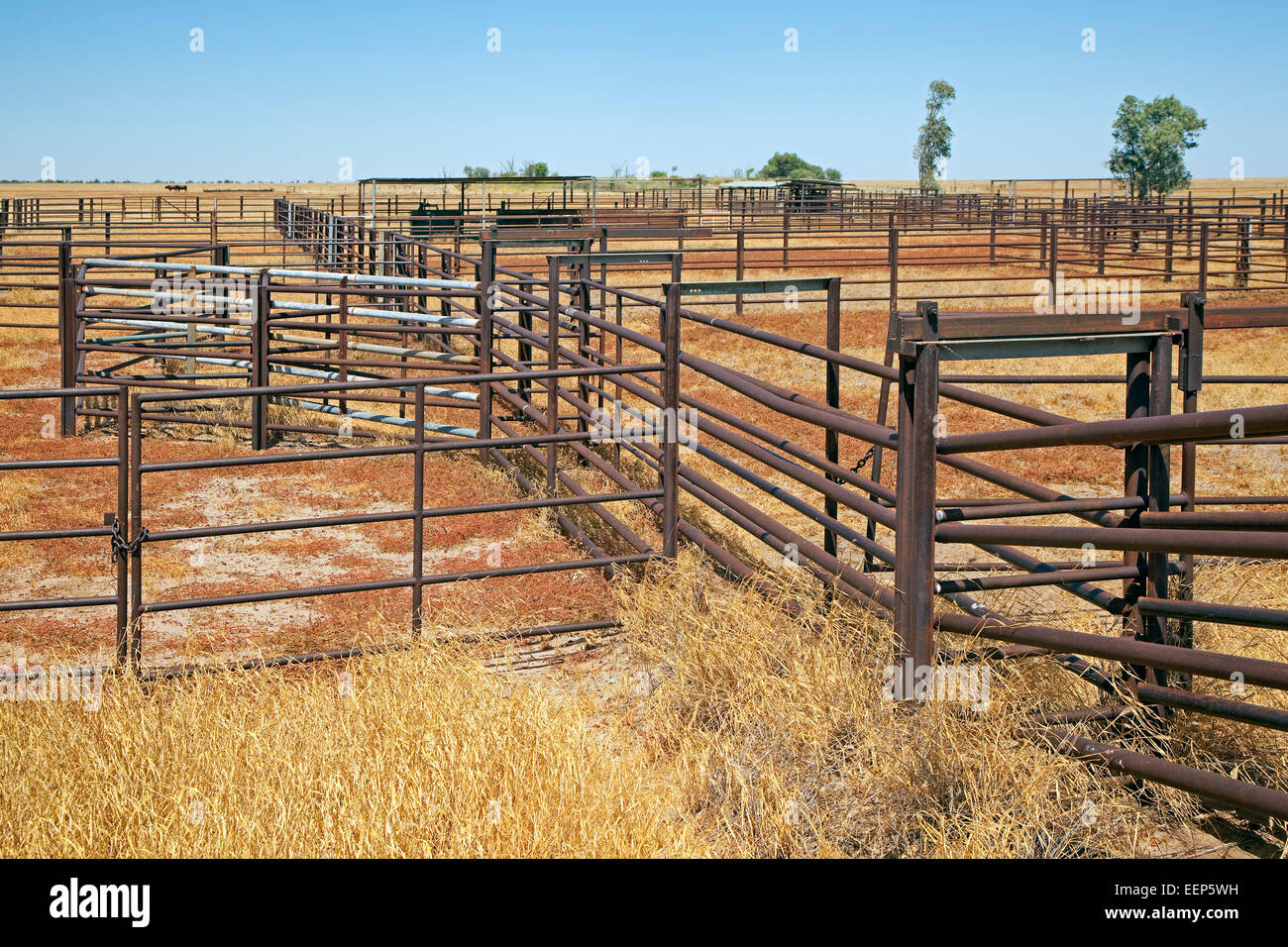 Metall-Tore der Stift / corral am Rinderfarm im australischen outback, Northern Territory, Australien Stockfoto